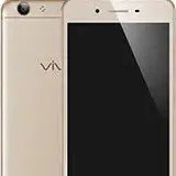 Y53