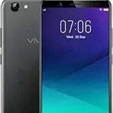 Y71