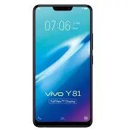 Y81