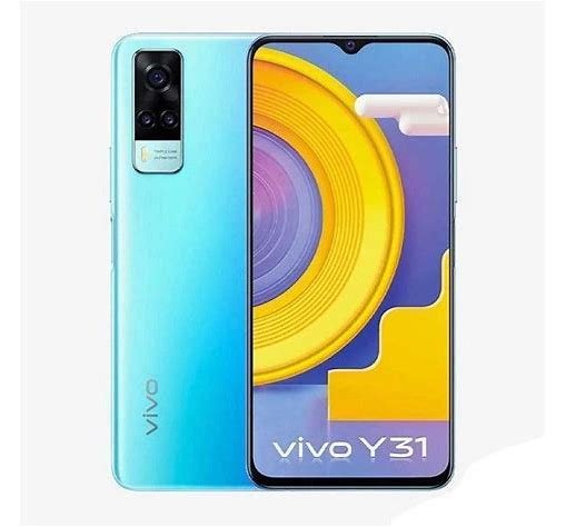 Y31 (2021)