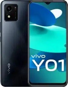 Y01