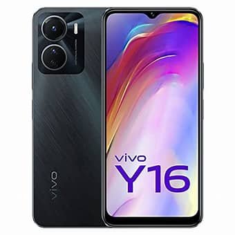 Y16