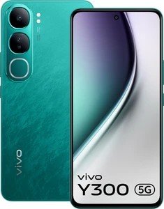 Y300